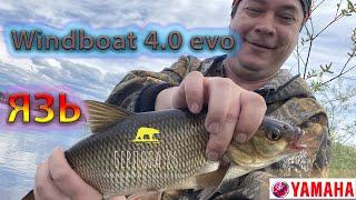 Бой Язь против Ильи Борисыча !!) Windboat 4.0 evo ! Yamaha 9.9 !