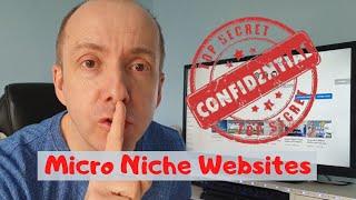 Top Secret MICRO NICHE WEBSITE