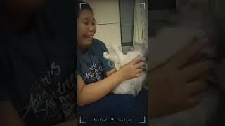 Whiskey ️