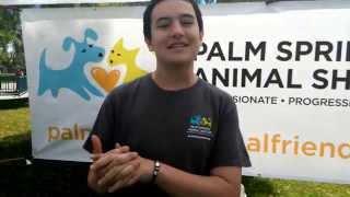 What is the Palm Springs Animal Shelter About? Presented by Project Rise