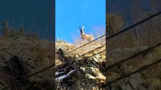 Рыбалка в Чечне