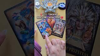 ПОСЛАНИЕ ВЫСШИХ СИЛ ДЛЯ ТЕБЯ Таро расклад гадание онлайн  #таро #tarot #таролог #онлайгадание