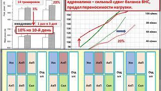 Тема №3. Планирование подготовки для циклических видов спорта,  2019. Часть 1. -А. Вертышев