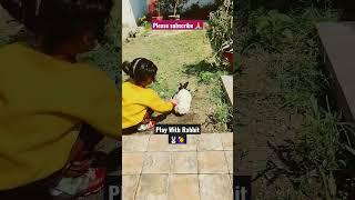 Play With Rabbit ‍️ #play #with #rabbit #bunny #rabbits #viral #bunnies #baby #cute #fun #love 