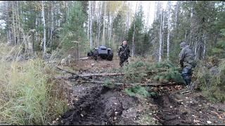 Офф-роуд  до болота за медведем и клюквой.