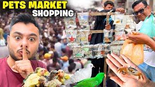 Pet market shopping for zoo with Mental mirza (Lalukhait birds market visit )