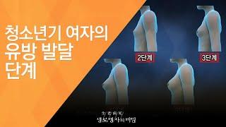 청소년기 여자의 유방 발달 단계 - (2011.3.12_364회 방송)_성장의 과속, 성조숙증