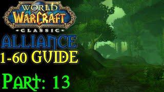 [Classic WoW] Pt. 13: Stranglethorn + Feralas 42-45 (Alliance 1-60 Guide)