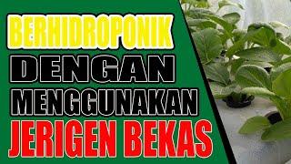 Berhidroponik dengan Jerigen Bekas #naikohydroponik