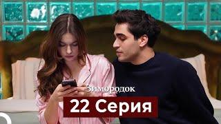 Зимородок 22 Cерия (Русский дубляж)