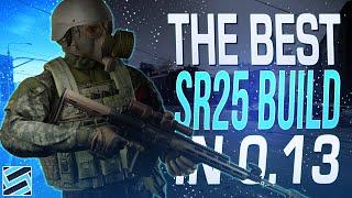 The Best in Slot SR-25 Build in 0.13 - Escape from Tarkov