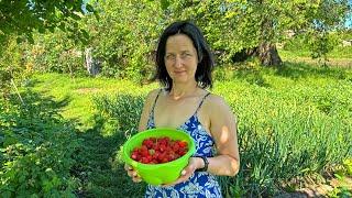 A beautiful girl works in the village on a small farm. Life in a Ukrainian village