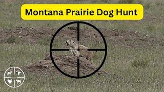 Montana Prairie Dog Hunt on Public Land.