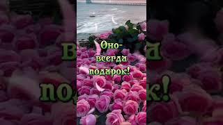 Доброе утро! Красивоепожелание#видео#красиваямузыка#shorts