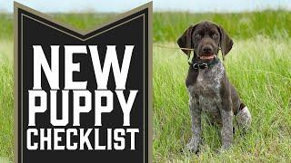 5 Things You Need To Do With A New Puppy