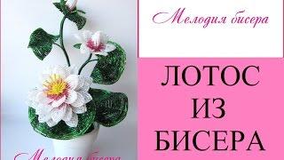 ЛОТОС из БИСЕРА - мастер-класс. Урок 3/3 - Сборка композиции