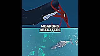 Sperm whale vs Bowhead whale