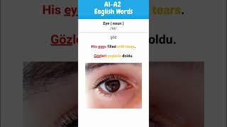 A1-A2 İngilizce Sözcük Öğrenme: Hızlı ve Etkili Yöntemlerle Big, Eye!   #learnenglish #facts