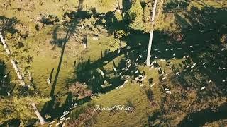 #Sopore  Aerial view of Munglu Sopore area of North kashmir Baramulla ( Drone visuals)