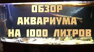 Аквариум на 1000 литров