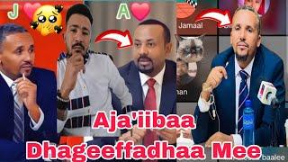 Salphiinaa  Sababaa Abiyi Ahmed Jawar Mohammed Arrabsuu Dhugaa Jirtuu Dhageeffadhaa Ijollee Jimmaa