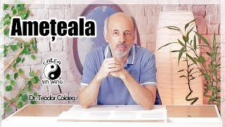 Ameteala- Dr.Teodor Coldea - Calea Yin Yang