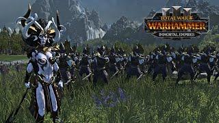 Essential Dark Elf Units for Every Campaign - Total War: Warhammer 3: Immortal Empires