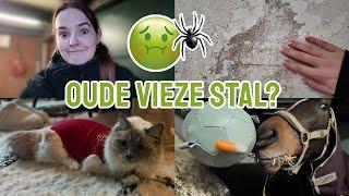 VIEZE OUDE stal? + Poki naar de dierenarts! || Vlogmas #23