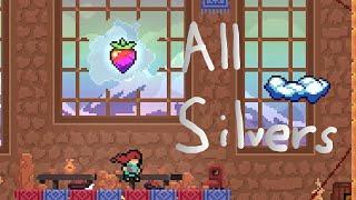 Advanced Lobby All Silver Strawberries | Celeste Strawberry Jam