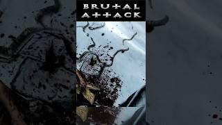 SKYRIM || BRUTAL ATTACK #skyrim #shorts #skyrimanniversary #skyrimse