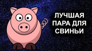 Совместимость знака Свиньи - лучшая и худшая пара