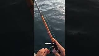 Как поймать крупную ПЕЛАМИДУ на Чёрном море??? #крым #рыбалка #черноеморе #fishing