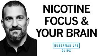 How Nicotine Impacts Your Brain & Enhances Focus | Dr. Andrew Huberman