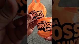 My Last Mega Gross Minis #mini #unboxing #collection