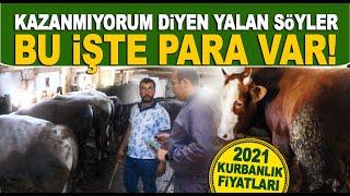 Hayvancılıktan nasıl iyi para kazandığını anlattı! Büyükbaş Hayvancılıkta para var mı?