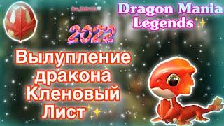 ВЫЛУПЛЕНИЕ ДРАКОНА НЕДЕЛИ КЛЕНОВЫЙ ЛИСТ В ЛЕГЕНДЫ ДРАКОНОМАНИИ | Dragon Mania Legends