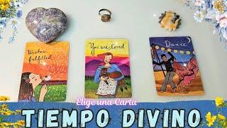 Es TIEMPO DIVINO para este PODEROSO MENSAJE🪄LO MANIFESTASTE ️ Tarot  Elige una Carta 