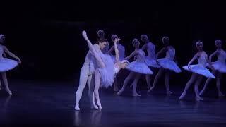 Alina Cojocaru & Ivan Vasiliev   Swan Lake White Adagio   ENB 01 2015