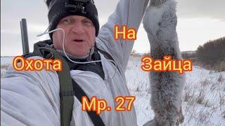 охота на зайца Мр 27