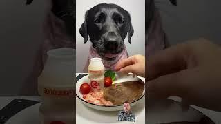 #dog #eatingshow #eating #labrador #eatingsounds #asmr #food