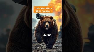 The Bear Who Fought in WWII – Wojtek the Soldier Bear ️#shorts #history #facts #BearSoldier