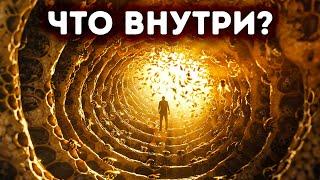 Путешествие внутри улья + интересные факты о пчелах