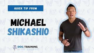 Michael Shikashio  | Tips on How to effectively train Aggressive Dogs | Pets Summit