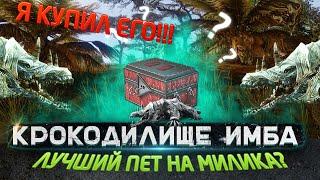 ARCHEAGE КРОКОДИЛИЩЕ - ЛУЧШИЙ ПЕТ ДЛЯ ГАНГА ЗА МИЛИКА!!! ИМБОВАЯ КОМБА!!!