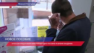 В России предложили ввести ещё одно пособие на время пандемии