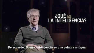 ¿Qué es la Inteligencia?