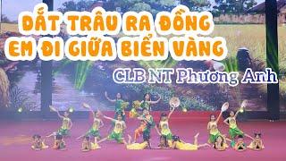 Dắt Trâu Ra Đồng - Em Đi Giữa Biển Vàng | Câu lạc bộ nghệ thuật Phương Anh