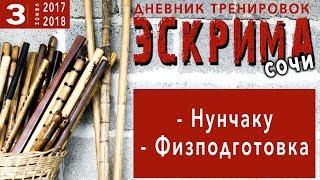 Эскрима/Палочный, ножевой и рукопашный бой/Дневник Тренировок 3~3