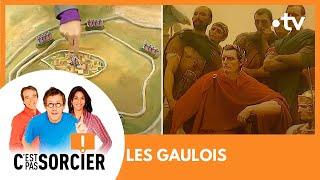 LES GAULOIS - C'est pas sorcier [Intégrale]