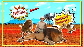 "Brutal Attacks from all Sides: Can We Save Them from Extinction?" #animals #animalsofyoutube
